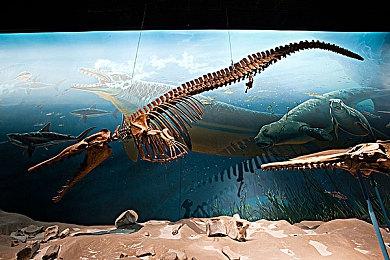 R星联合创始人称《荒野大镖客2》是其开发过的最好作品